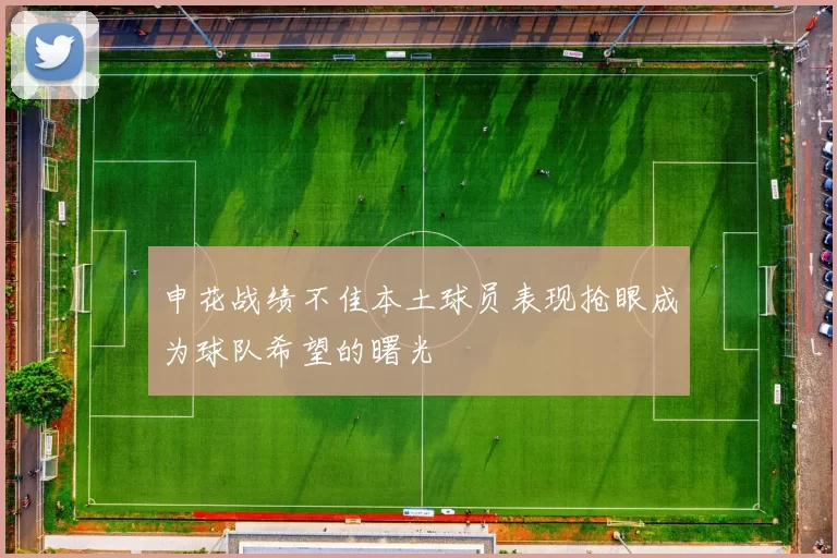 申花战绩不佳本土球员表现抢眼成为球队希望的曙光